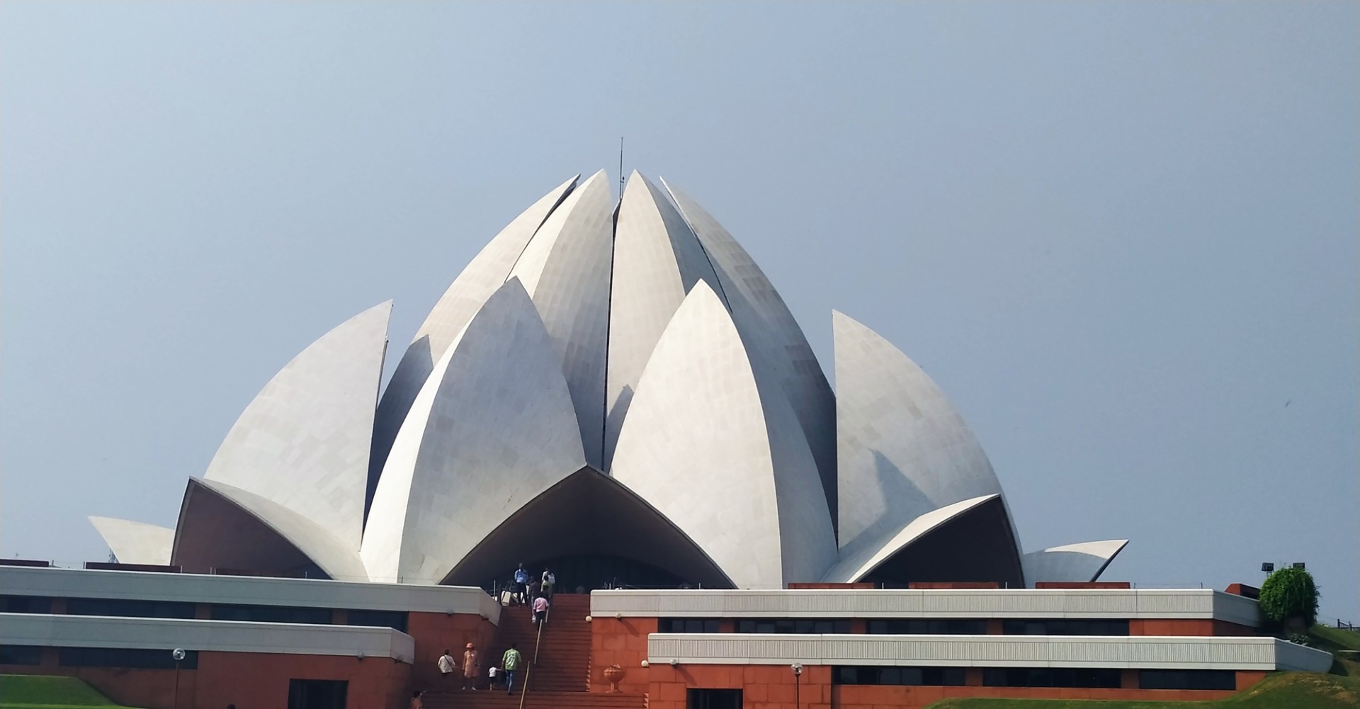 Delhi Temple Lotus