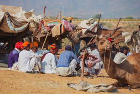 Foire-Nagaur